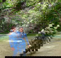 Mossman River Drift Snorkelling from Port Douglas or Mossman - Darwin Holiday