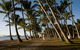 Port Douglas Round-Trip Transfer From Cairns With Free Time In Port Douglas - thumb 0