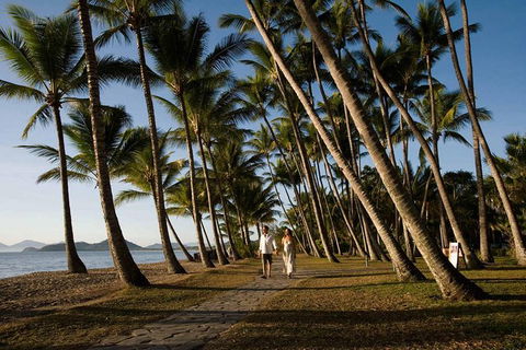 Port Douglas Round-Trip Transfer From Cairns With Free Time In Port Douglas - Darwin Holiday 0