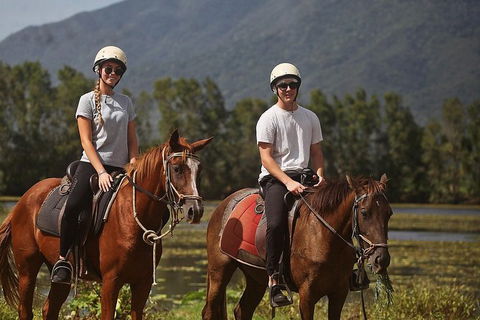 Blazing Saddles Horse Riding - Darwin Holiday 6