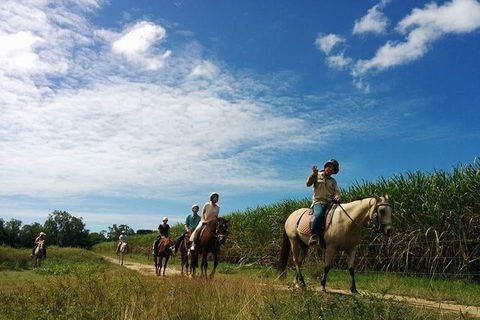 Blazing Saddles Horse Riding - Darwin Holiday 4
