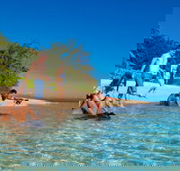 Half Day Low Isles Snorkelling Tour from Port Douglas - Darwin Holiday