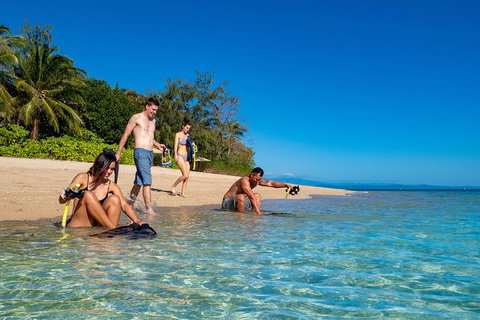 Half Day Low Isles Snorkelling Tour From Port Douglas - Darwin Holiday 2