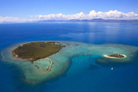 Half Day Low Isles Snorkelling Tour From Port Douglas - Darwin Holiday 4