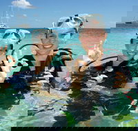 Ocean Spirit Michaelmas Cay Dive and Snorkel Cruise from Palm Cove - Darwin Holiday