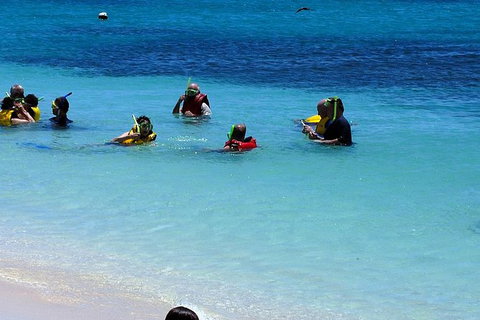 Ocean Spirit Michaelmas Cay Dive And Snorkel Cruise From Palm Cove - Darwin Holiday 1