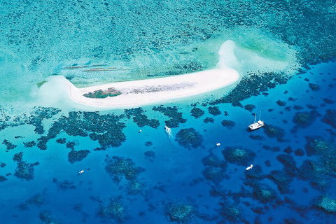 Ocean Spirit Michaelmas Cay Dive And Snorkel Cruise From Palm Cove - Darwin Holiday 7