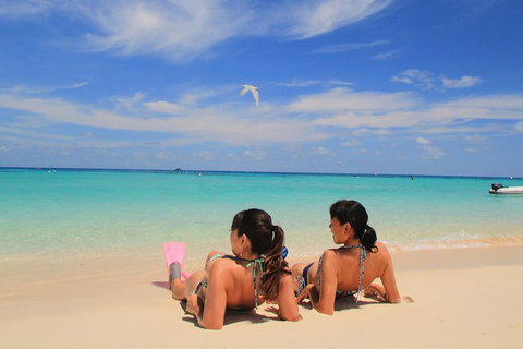 Ocean Spirit Michaelmas Cay Dive And Snorkel Cruise From Palm Cove - Darwin Holiday 2