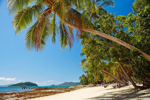 Private Daintree Wanderer Tour - Darwin Holiday 4