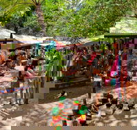 Kuranda Day Trip small group from Port Douglas by bus - Darwin Holiday