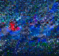 Infinity Attraction in Queensland Admission Ticket - Darwin Holiday