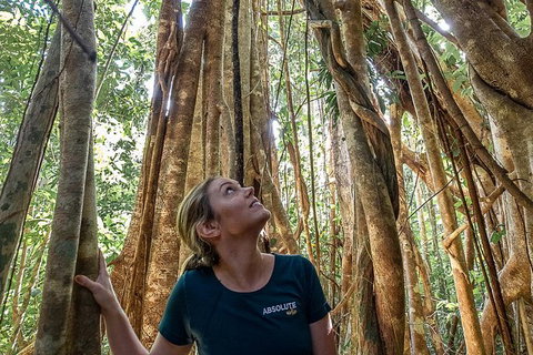 Whitsundays Tropical Rainforest, Waterfalls And Airlie Beach Eco Experience - Darwin Holiday 14