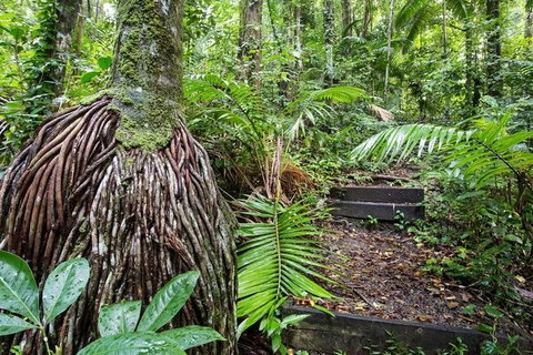 Whitsundays Tropical Rainforest, Waterfalls And Airlie Beach Eco Experience - Darwin Holiday 7