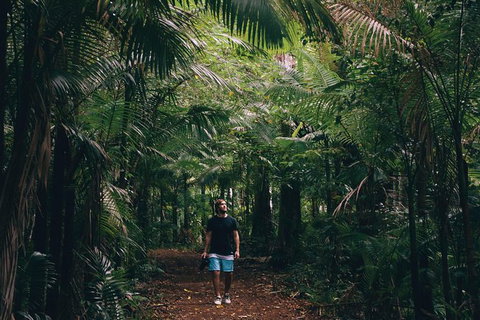 Whitsundays Tropical Rainforest, Waterfalls And Airlie Beach Eco Experience - Darwin Holiday 5