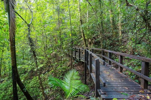 Whitsundays Tropical Rainforest, Waterfalls And Airlie Beach Eco Experience - Darwin Holiday 3