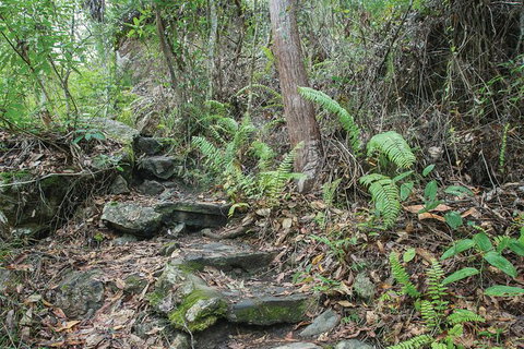 Whitsundays Tropical Rainforest, Waterfalls And Airlie Beach Eco Experience - Darwin Holiday 16