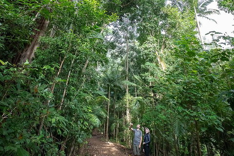 Whitsundays Tropical Rainforest, Waterfalls And Airlie Beach Eco Experience - Darwin Holiday 6