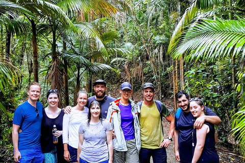 Whitsundays Tropical Rainforest, Waterfalls And Airlie Beach Eco Experience - Darwin Holiday 15