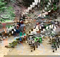 Half Day Bump Track MTB Ride - Darwin Holiday