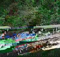 Daintree River Cruise - Darwin Holiday