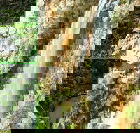 Rainforest  Waterfalls Extravaganza - Darwin Holiday