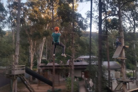 Tamborine Mountain Daily Service, Treetop Challenge And Thunderbird Park - Darwin Holiday 1