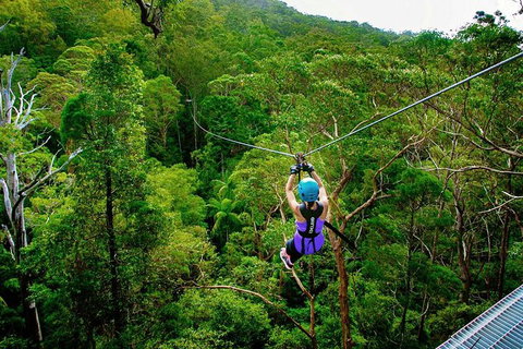 Tamborine Mountain Daily Service, Treetop Challenge And Thunderbird Park - Darwin Holiday 9