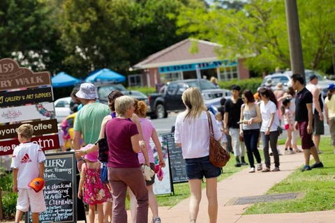 Tamborine Mountain Daily Service, Treetop Challenge And Thunderbird Park - Darwin Holiday 6