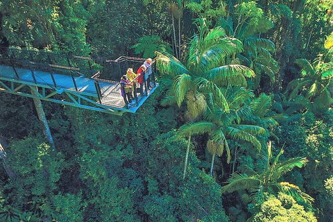 Tamborine Mountain Daily Service, Treetop Challenge And Thunderbird Park - Darwin Holiday 12