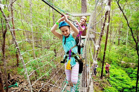 Tamborine Mountain Daily Service, Treetop Challenge And Thunderbird Park - Darwin Holiday 4