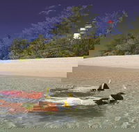 Wavedancer Low Isles Great Barrier Reef Sailing Cruise from Palm Cove - Darwin Holiday