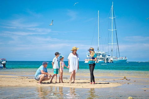 Wavedancer Low Isles Great Barrier Reef Sailing Cruise From Palm Cove - Darwin Holiday 3