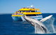 Spirit Of Hervey Bay Whale Watching Cruise - thumb 0