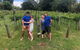 Full Day Mount Tamborine Winery Tour From Brisbane - thumb 5