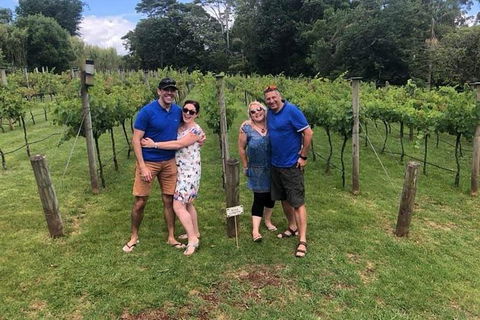 Full Day Mount Tamborine Winery Tour From Brisbane - Darwin Holiday 5