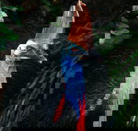 Wildlife Habitat Port Douglas - Darwin Holiday