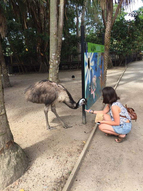 Wildlife Habitat Port Douglas - Darwin Holiday 2