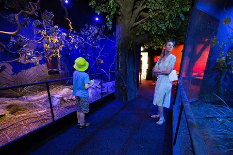 Wildlife Habitat Port Douglas - Darwin Holiday 14