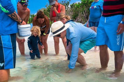 Whitehaven Beach And Hamilton Island Cruise - Darwin Holiday 1