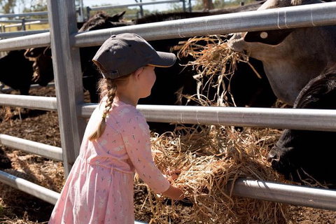 Mackay Farm Food And Flavours Tour - Darwin Holiday 0