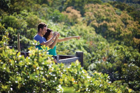 Conway National Park Coral Beach Walk Including Shute Harbour From Airlie Beach - Darwin Holiday 0
