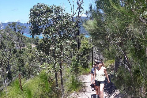 Scenic Guided Walk Up Mt Rooper For Best Whitsunday Views From Airlie Beach - Darwin Holiday 1