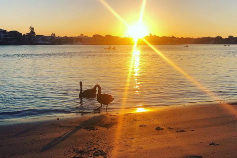 Surfers Paradise Sunset Kayak Tour - Darwin Holiday 9