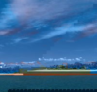 Afternoon Low Isles Snorkeling and Sailing Cruise from Port Douglas - Darwin Holiday