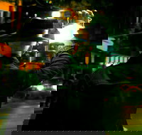 Private Surfers Paradise Paranormal Activity Walking Tour - Darwin Holiday