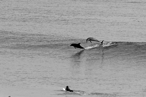 Overnight Tweed Coast Camping And Surfing Getaway From The Gold Coast - Darwin Holiday 0