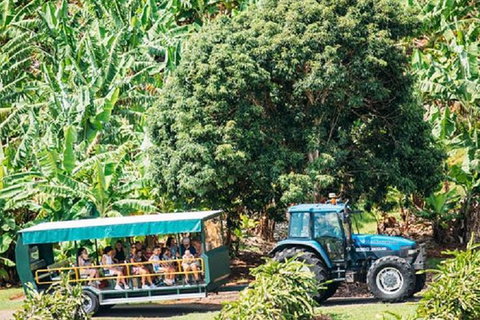 Tropical Fruit World With Wildlife Boat Cruise From Gold Coast - Darwin Holiday 14