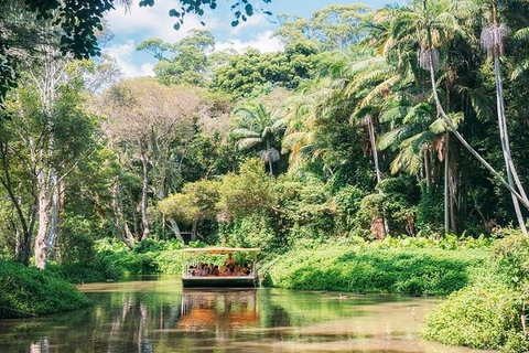 Tropical Fruit World With Wildlife Boat Cruise From Gold Coast - Darwin Holiday 11