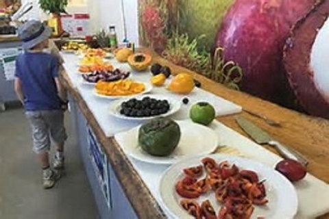 Tropical Fruit World With Wildlife Boat Cruise From Gold Coast - Darwin Holiday 9
