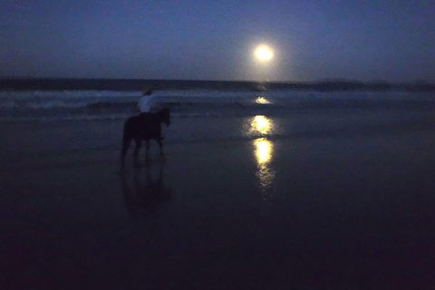 Full Moon Horse Ride At Rainbow Beach - Darwin Holiday 0